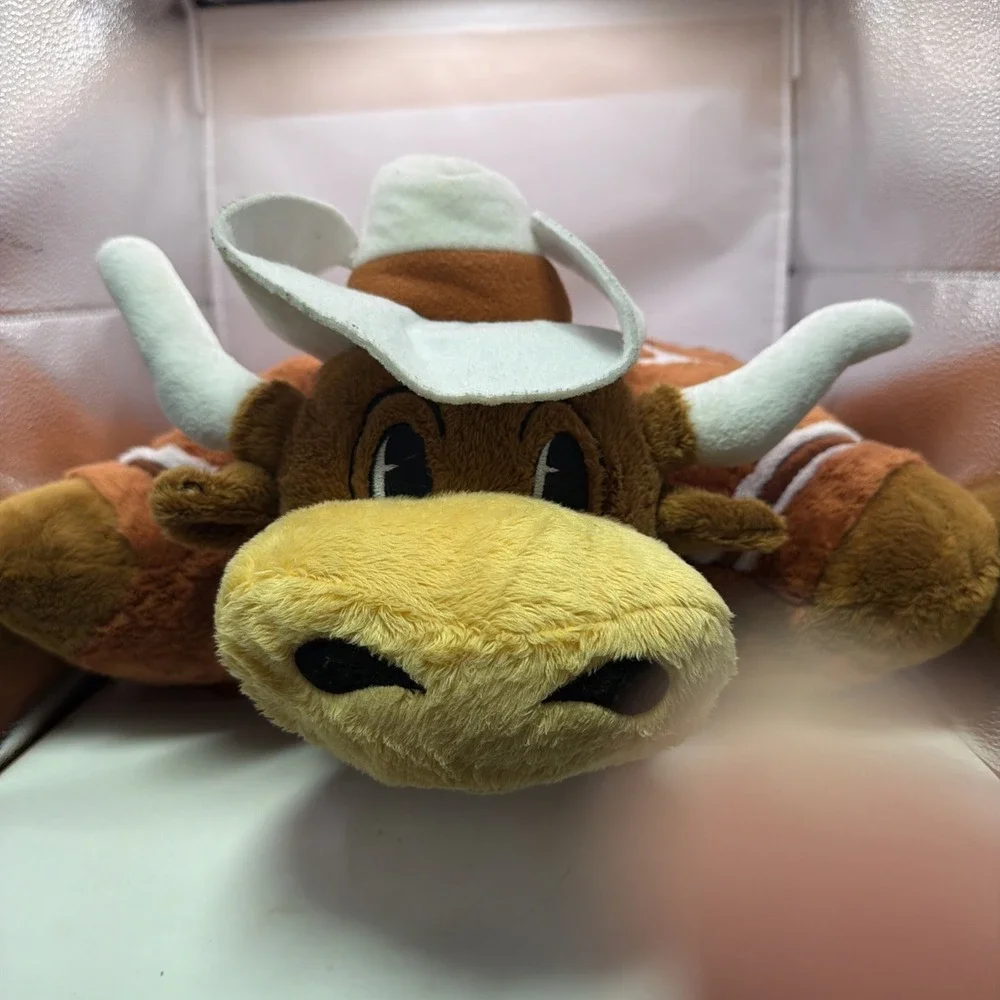 Texas Longhorns Large 18
